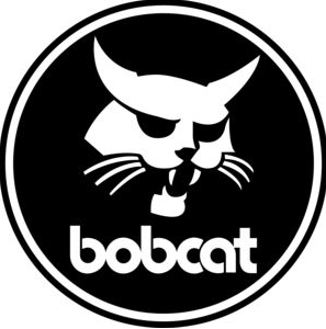 Bobcat